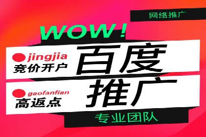 百度竞价推广运营实战技巧与经典案例剖析