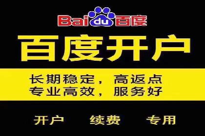 百度企业级服务推广的全面解决方案